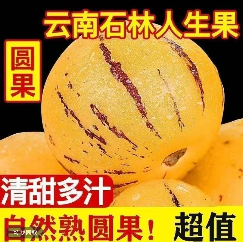 云南石林树上熟黄肉果新鲜清甜多汁当季水果