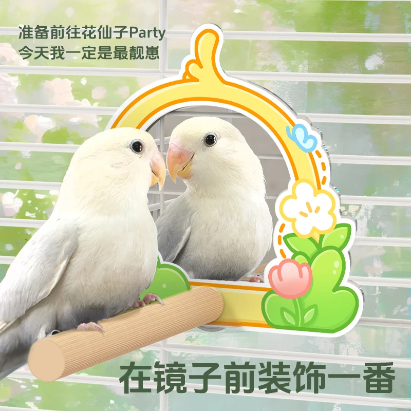 鹦鹉造景玩耍啃咬站台站杆镜子食盒水盆牡丹玄凤虎皮小太阳