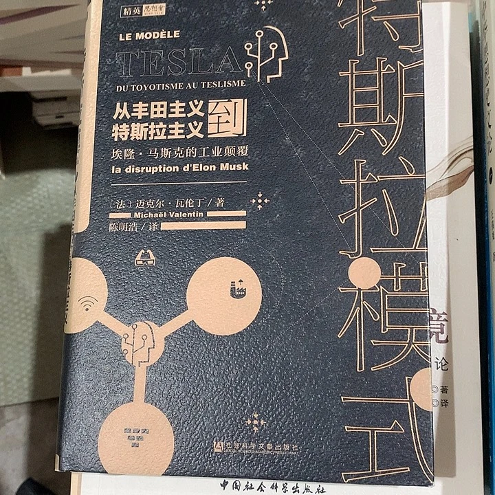 特斯拉模式默认瑕疵介意勿拍