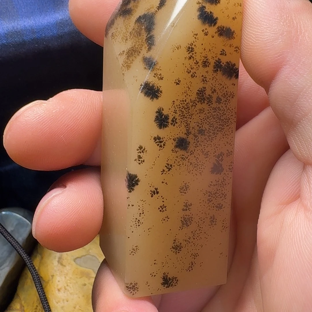 昌化石昌化水草冻印章