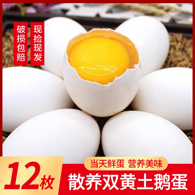 新鲜鹅蛋12枚110±10g/枚小灰鹅鹅蛋新鲜散养鹅蛋农家散养双黄居多