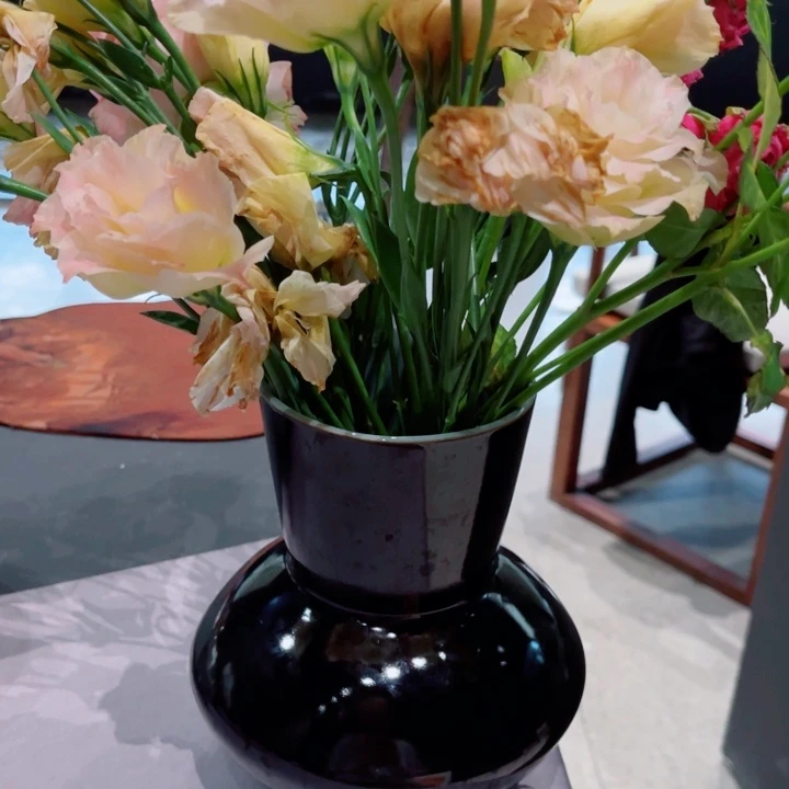 青瓷哈哈哈哈哈哈哈哈