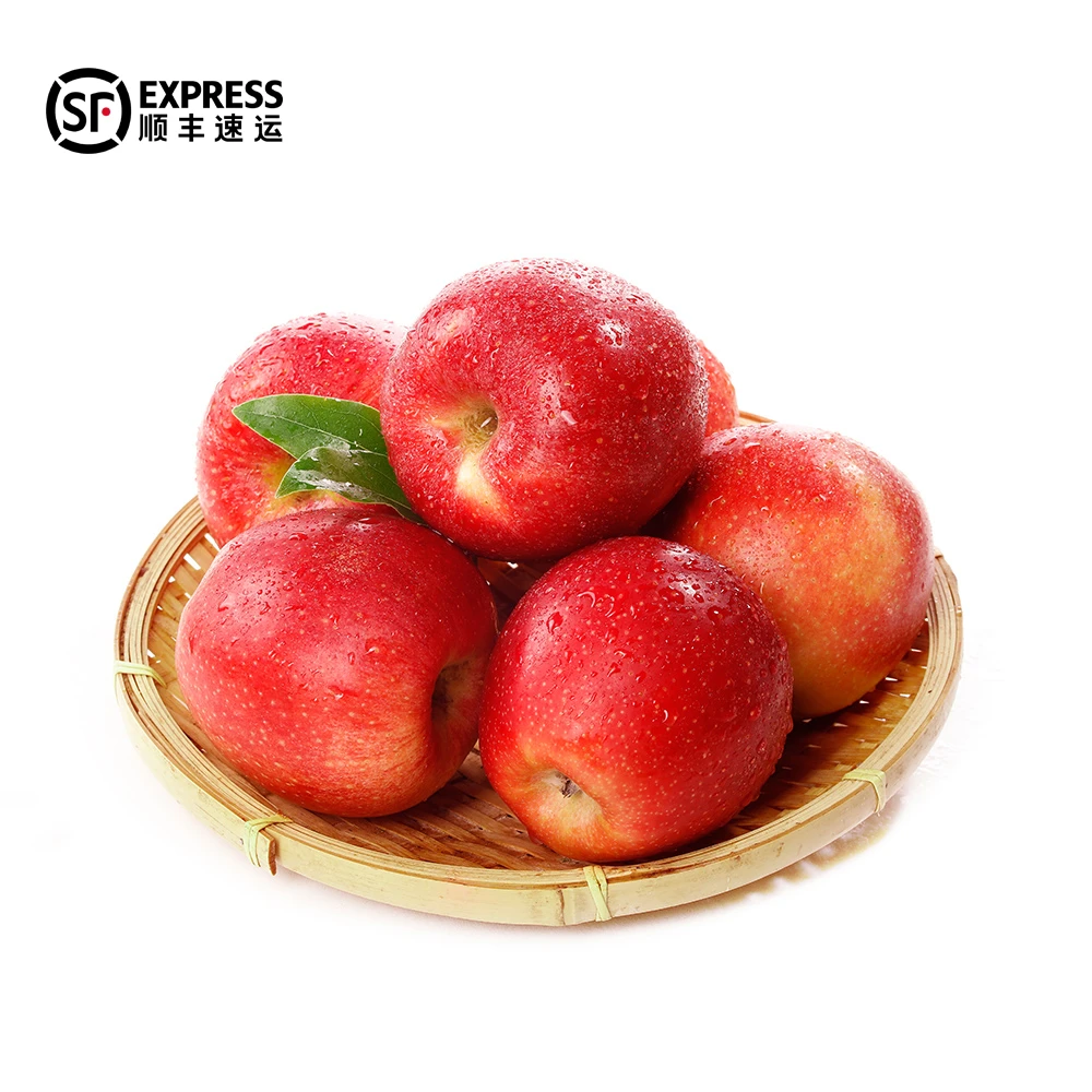 甘肃庆阳宁县苹果早熟嘎啦红斯尼克苹果2025现摘现发5斤顺丰包邮