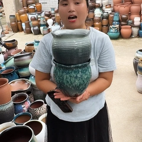 口19高19两个盆子。
