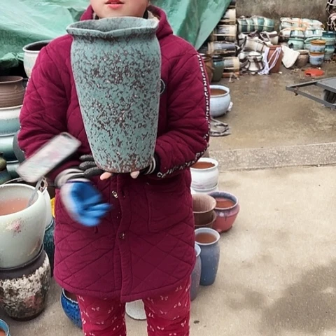 20口33高盆子 盆子