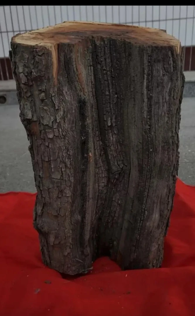 雷击枣木手把件雷枣《以直播间实物为准》