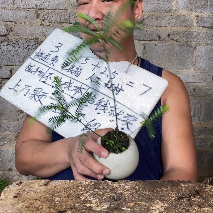 退款拉黑一物一拍59