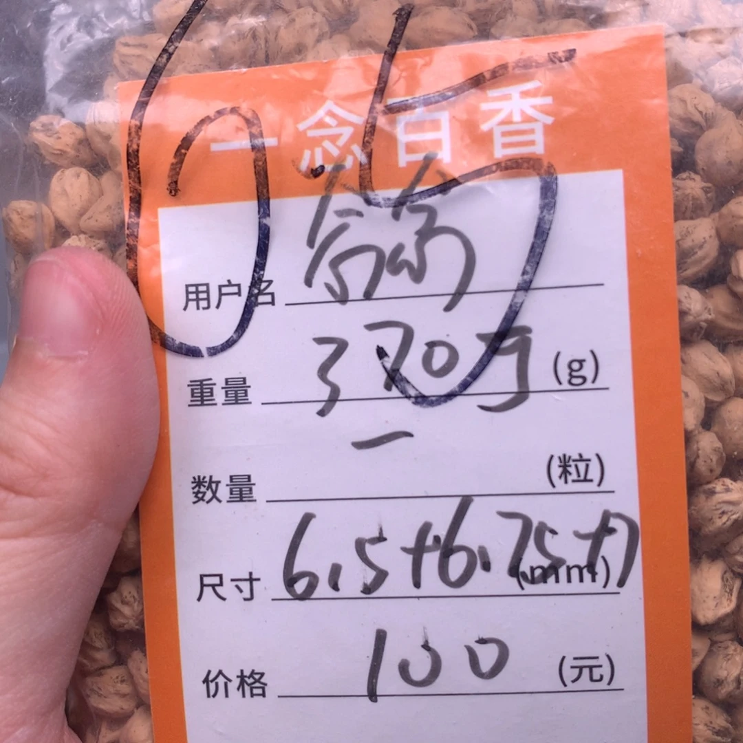念***念柏香籽/百香籽吊坠