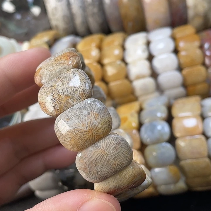 未镶嵌手链硅化珊瑚（珊瑚玉）