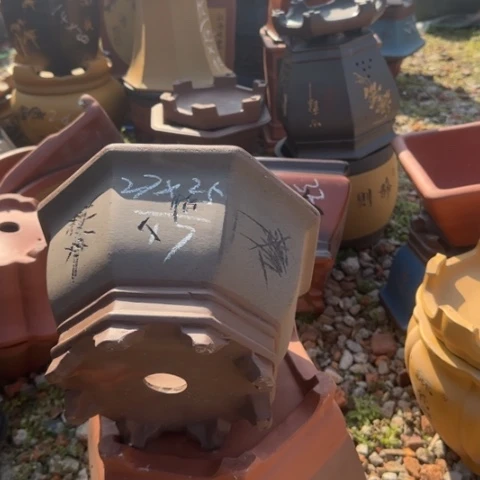 紫砂花盆紫砂花盆盆景盆栽