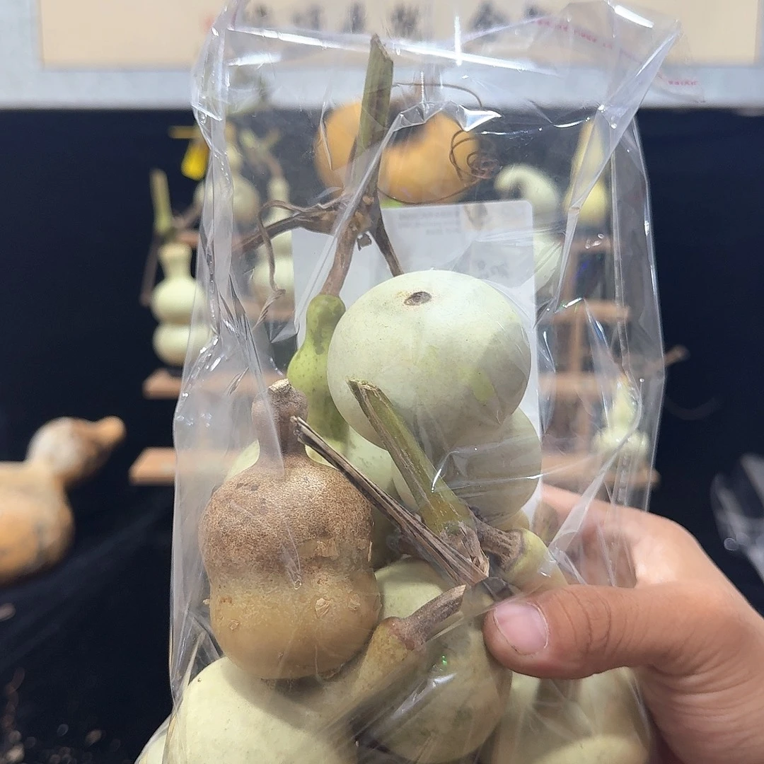 知***乐福利定向定向定向