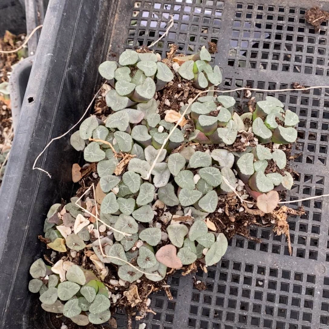 1259 一组实生空明湖万象 超级福利