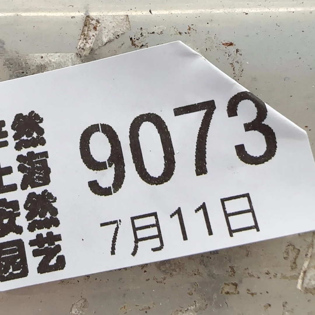 芝***-7.11。鼻噶清盒苗.6。9073