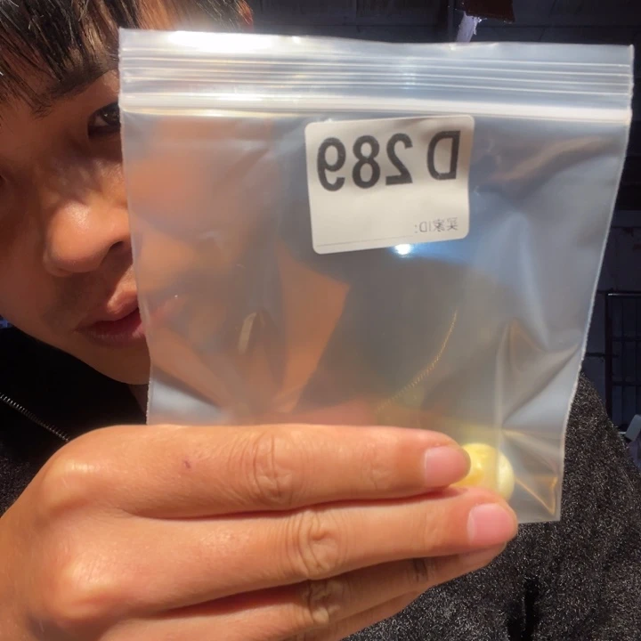 大叶紫檀（黑酸枝木类）289