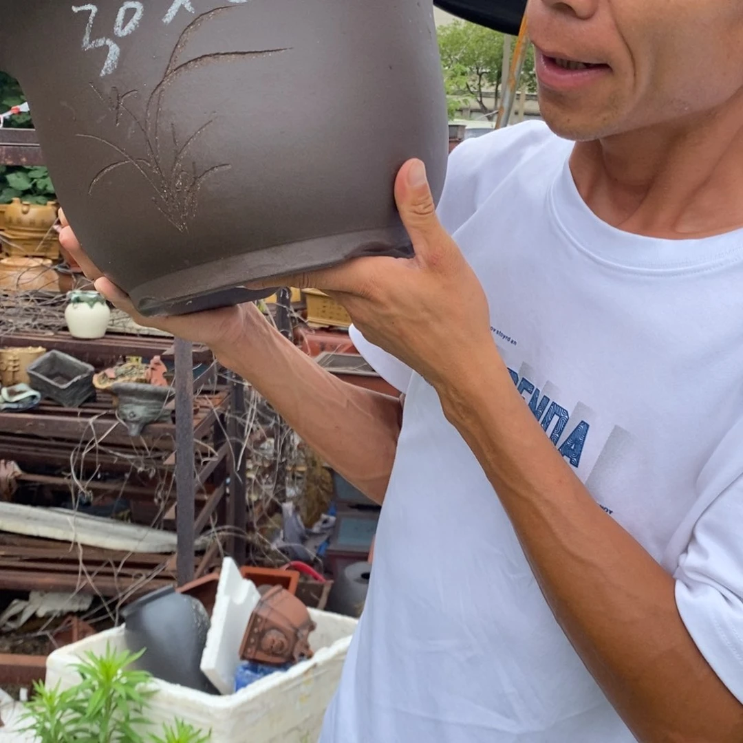 紫砂花盆紫砂壶的时候我就觉得