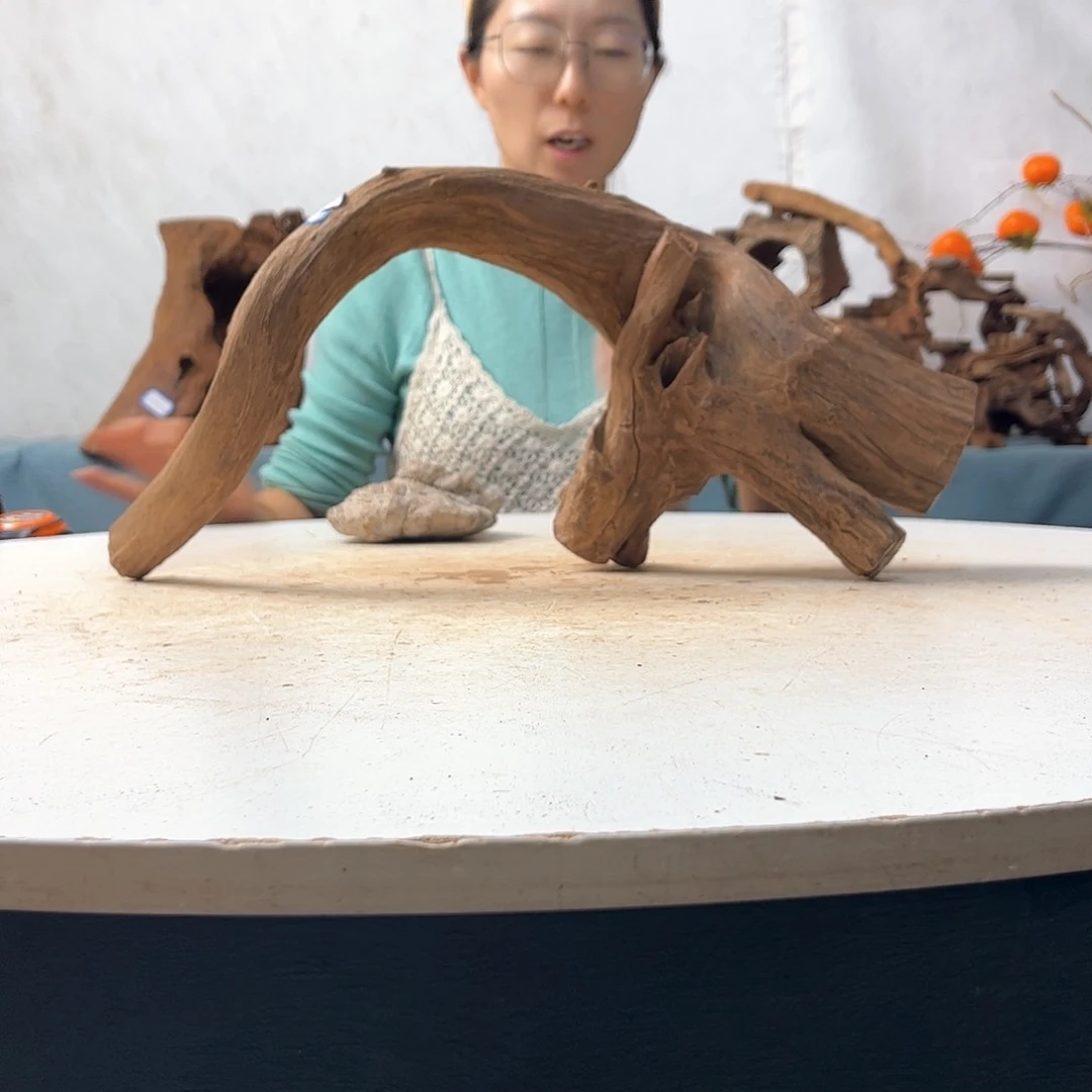 沉木造景寄居蟹景