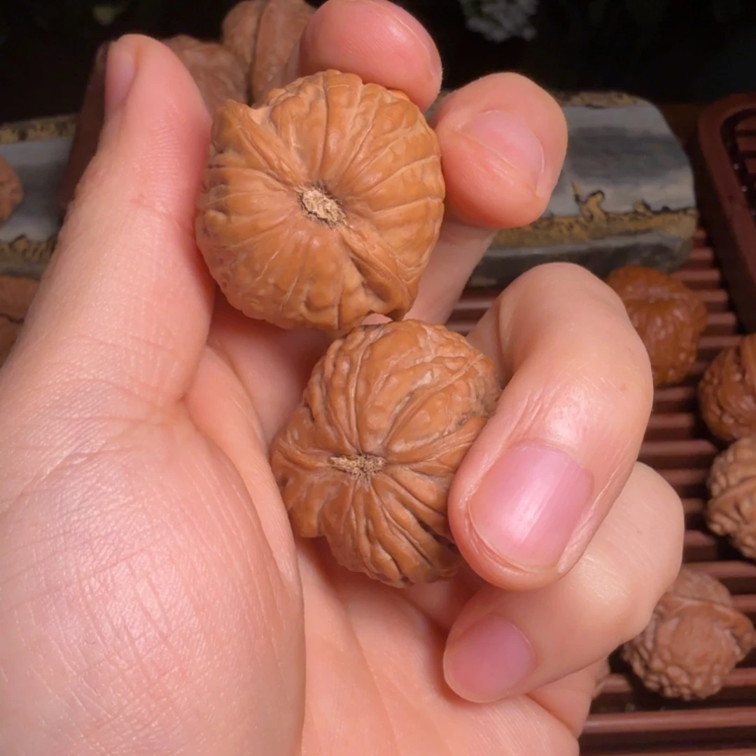 核桃33稀有南瓜，: