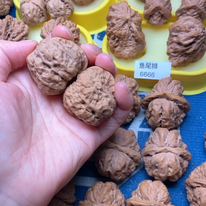 【闪购商品】手串/手链核桃边39蛤蟆头