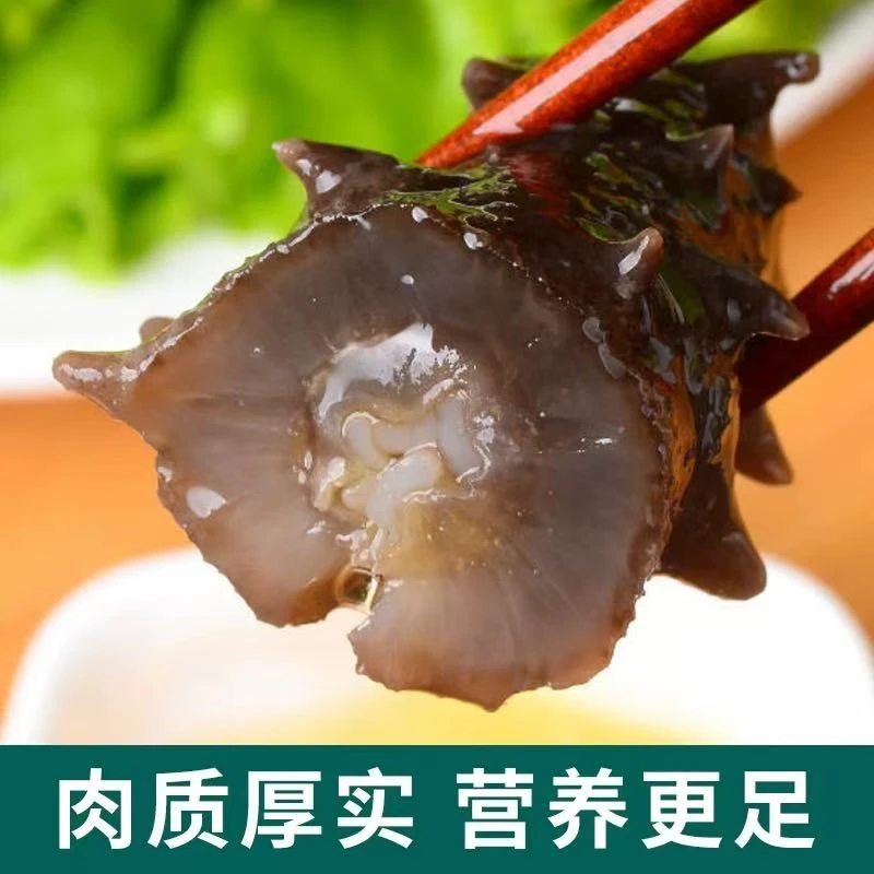 【达吾水果】即食鲜海参