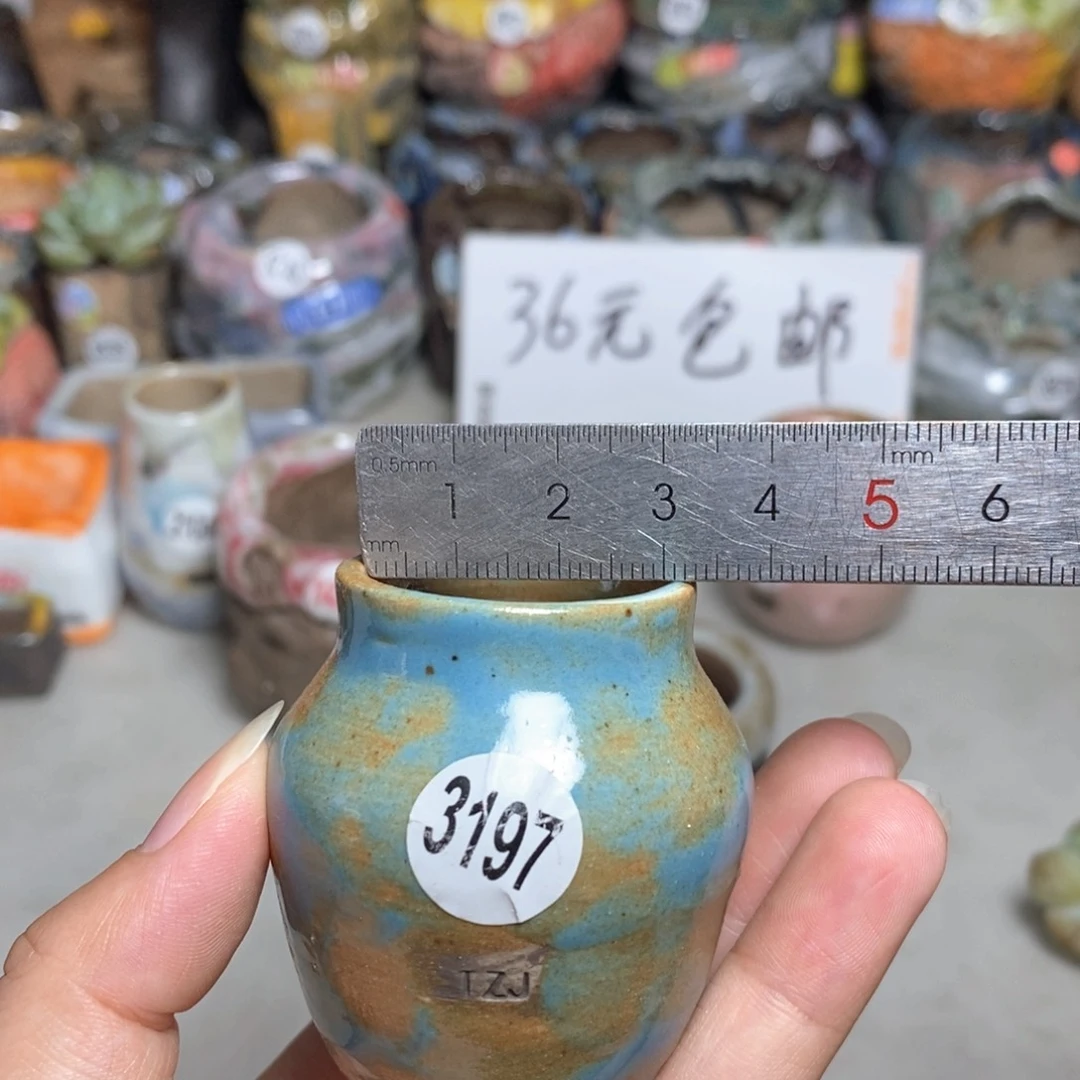拍5送一个小礼物