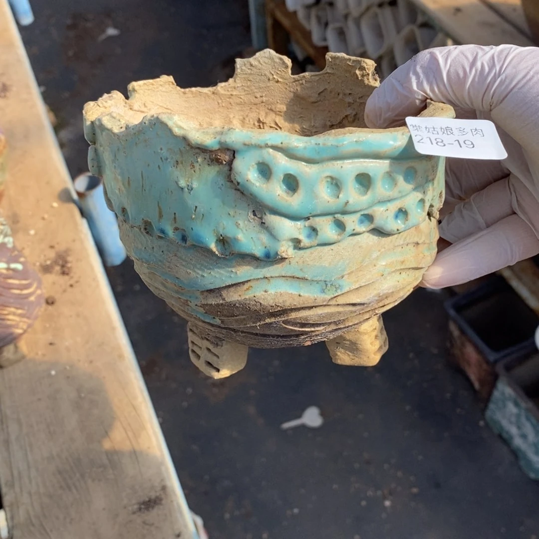 红陶H****e19号多肉盆一个呀