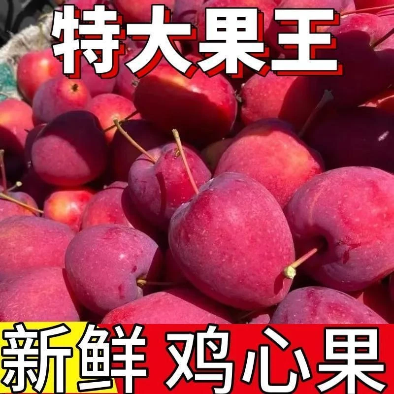 正宗东北鸡心果锦绣海棠脆甜多汁新鲜采摘5斤