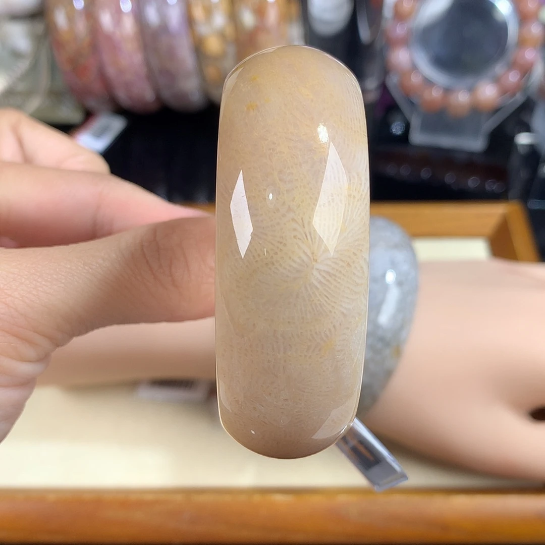 吊坠(赠链)未镶嵌硅化珊瑚（珊瑚玉）51号51.9圈口