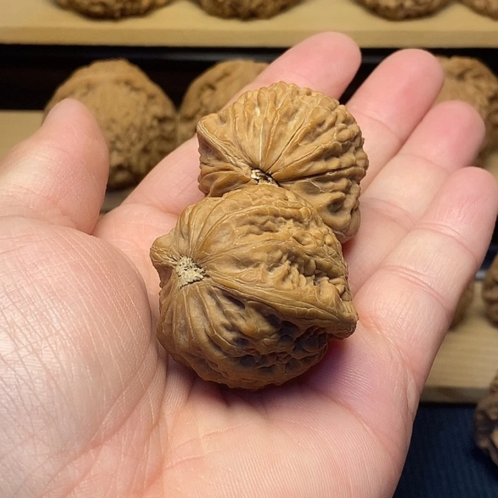 小***人核桃39铁锤妹妹福利