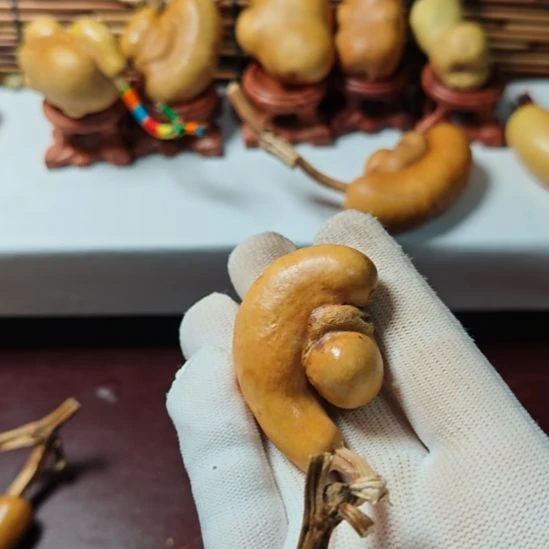 热***圆精品土豆葫芦一物一拍