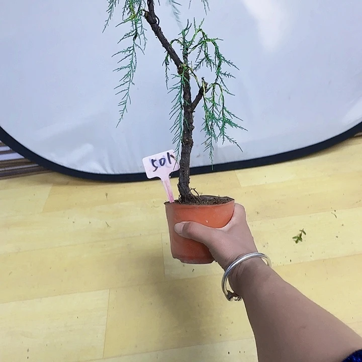 陈f g k k l pe f g h j k l