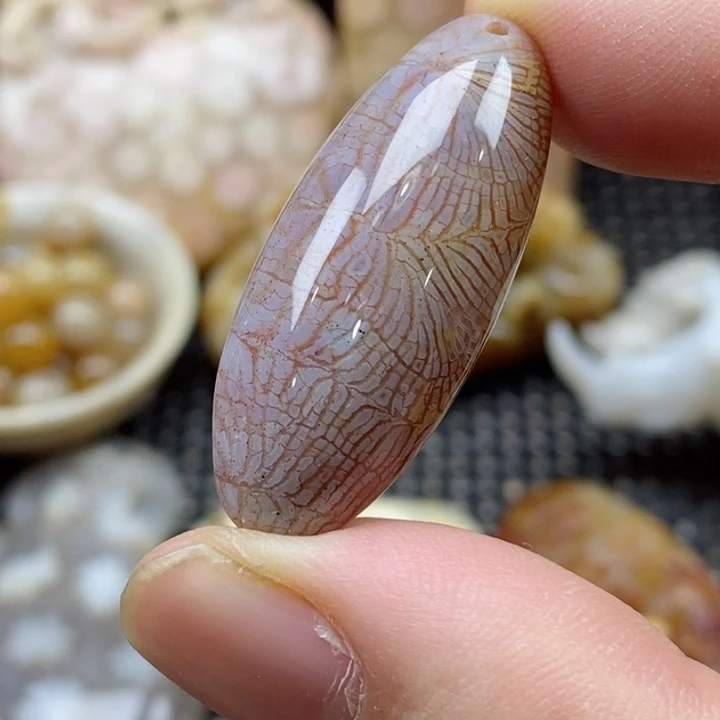 硅化珊瑚（珊瑚玉）颈饰未镶嵌