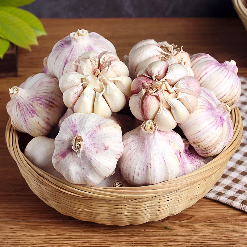 2025河南干大蒜紫白皮多瓣大蒜微辣蒜头1/2/3斤