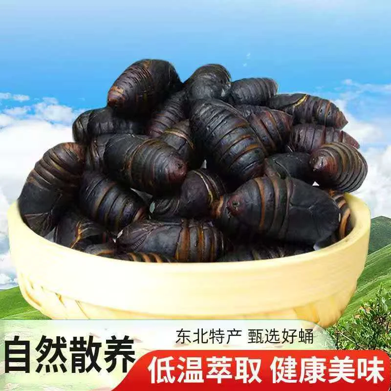 小黑柞蚕蛹，东北特产顺丰包邮，一斤65个左右，3-4厘米