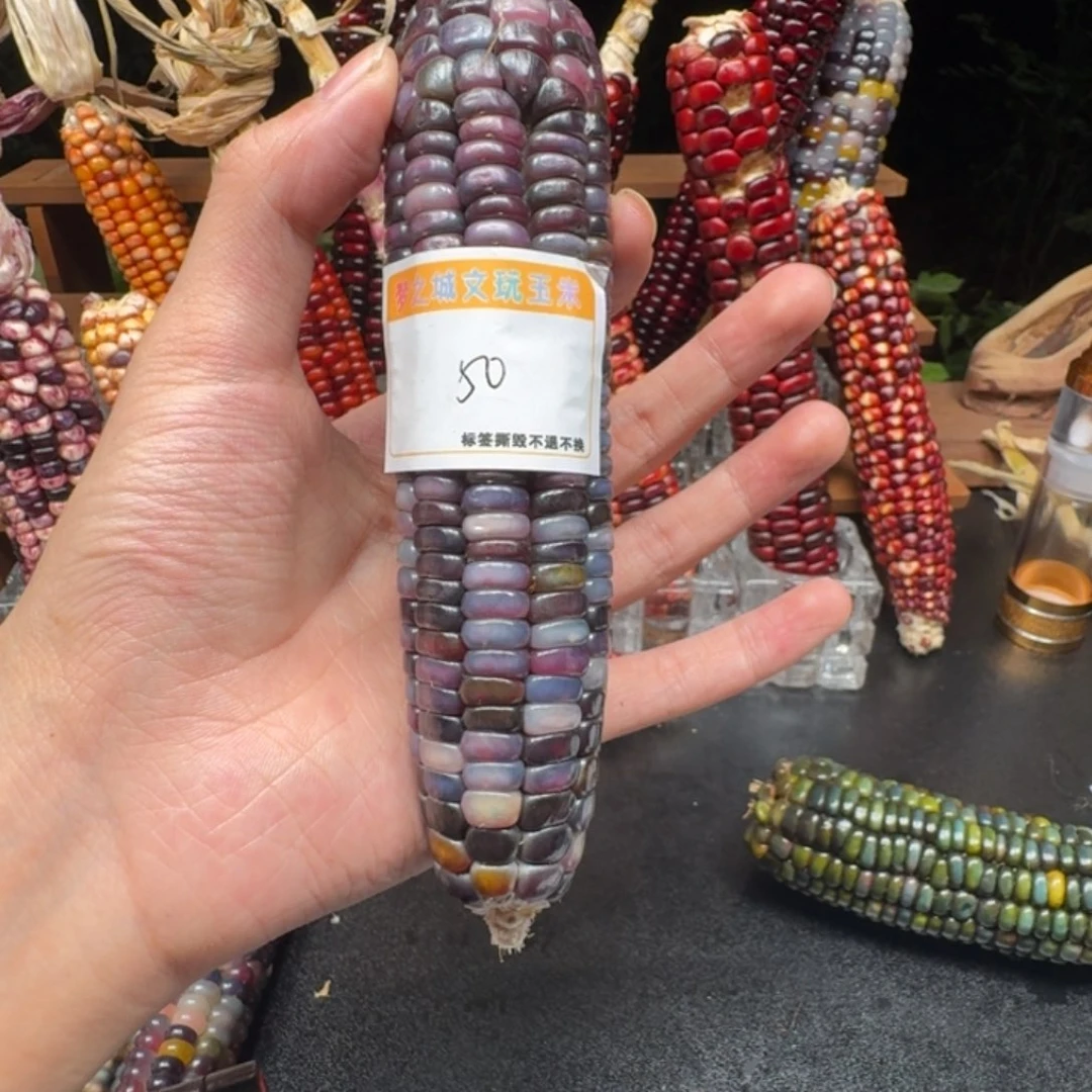 大***红大叶紫檀（黑酸枝木类）