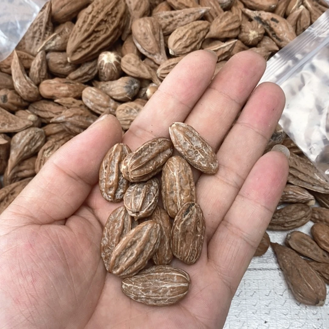 死*文玩木质核桃散籽