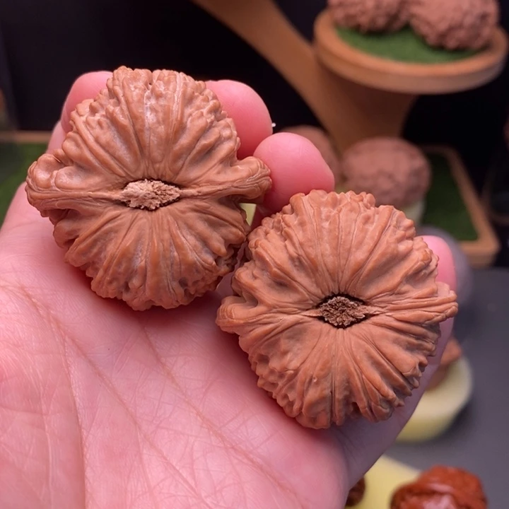 把件文玩核桃白狮子44
