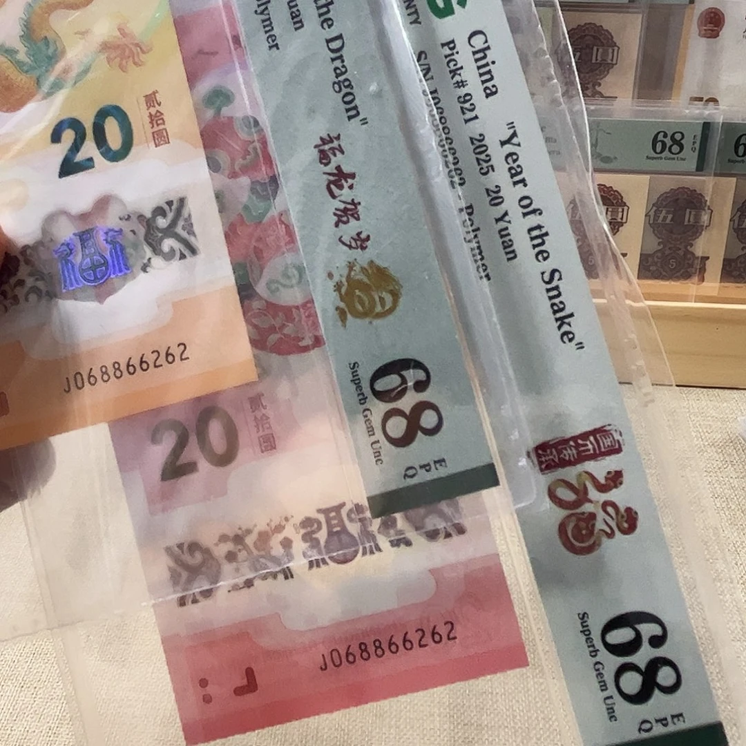 塑料龙蛇全同号068866262