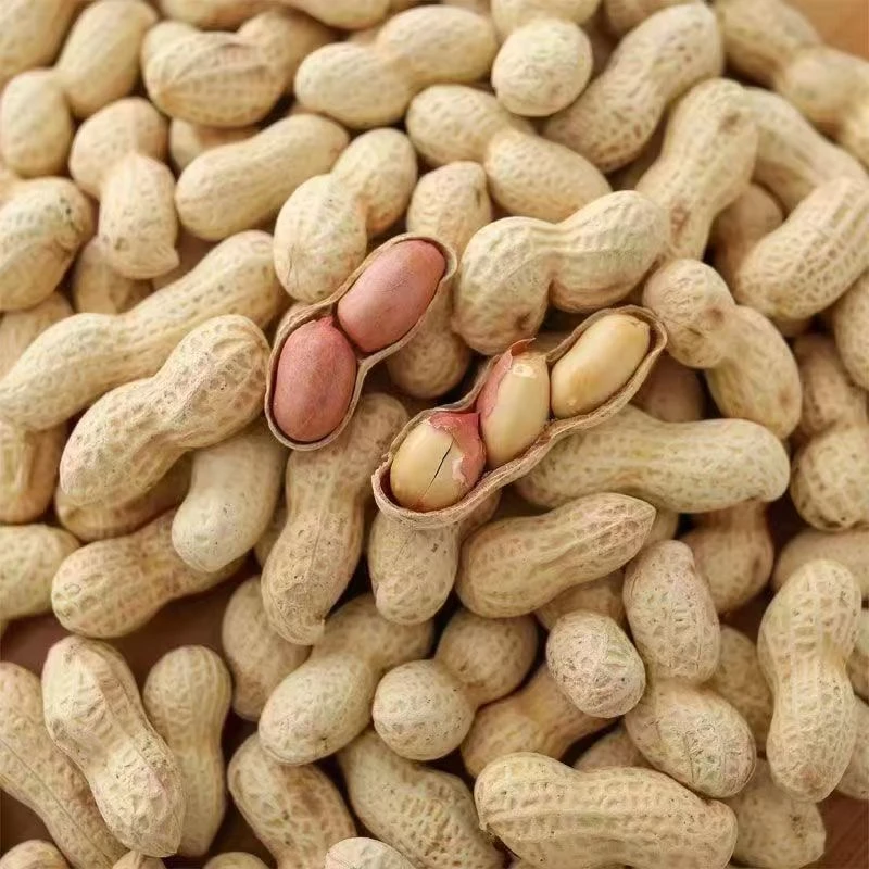 炒熟花生原味2斤