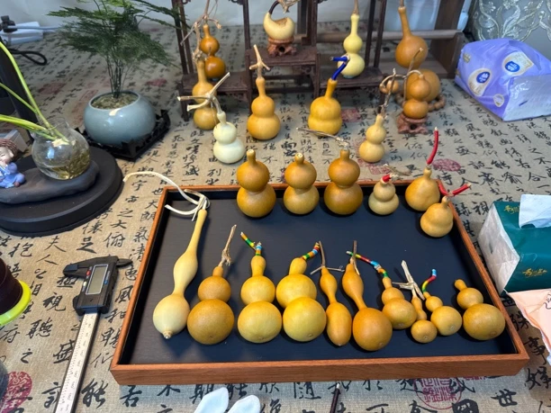 董渔葫芦直播放漏中