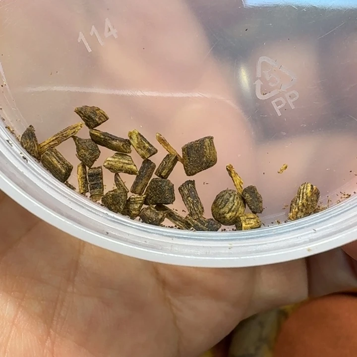 沉香碎屑沉香馨安居沉香88888