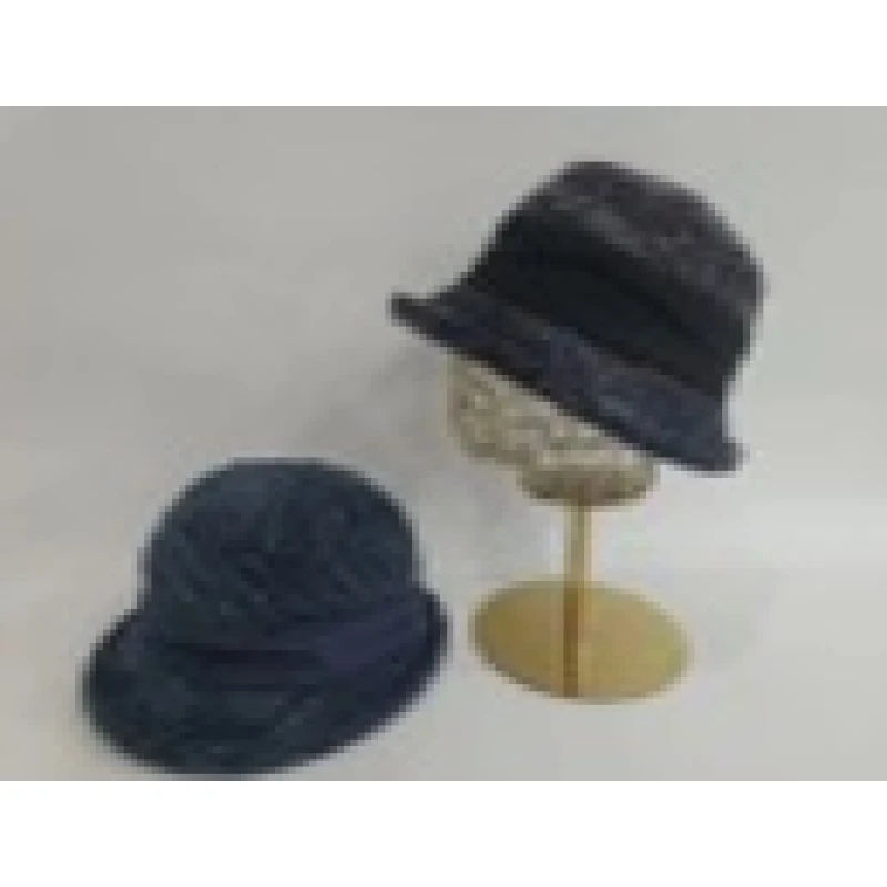 665#日本高品帽子