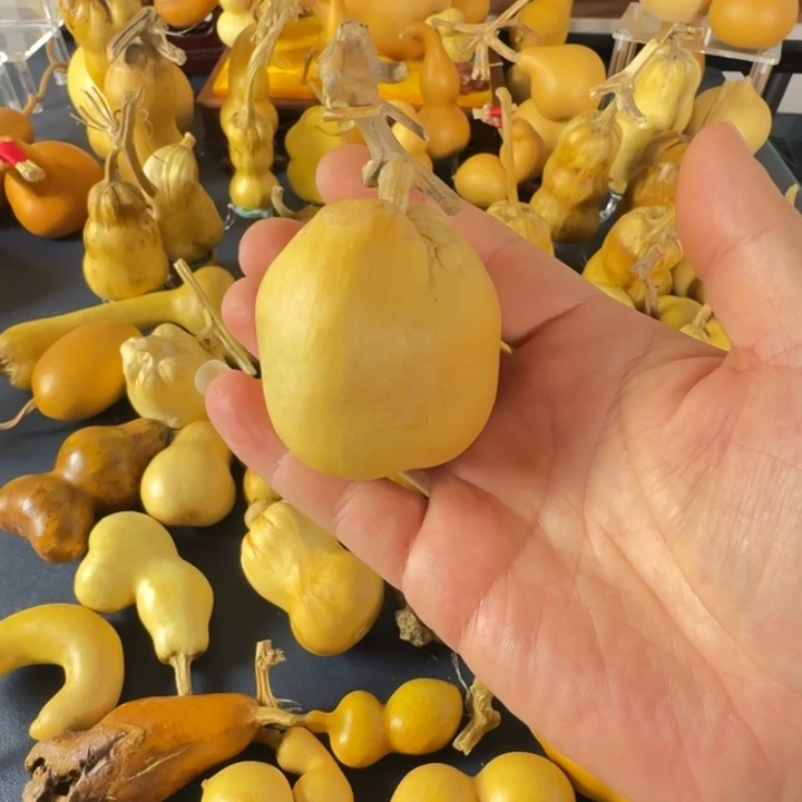 普***r绒面是根据结结巴巴哈哈哈哈哈哈哈哈哈哈