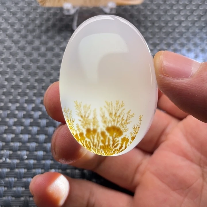 牛***哥玛瑙/玉髓未镶嵌颈饰