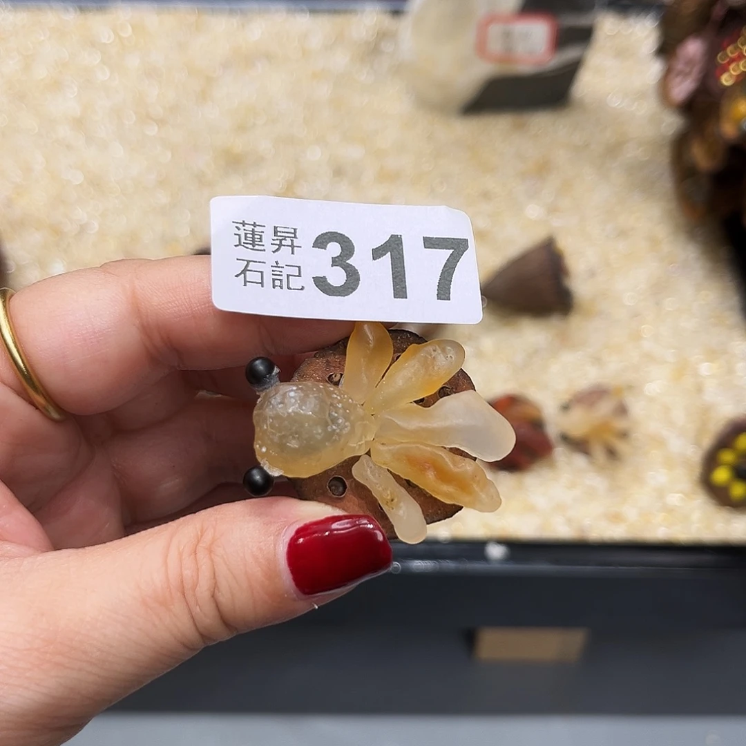 烟***泉核桃木/黑胡桃（胡桃木）317