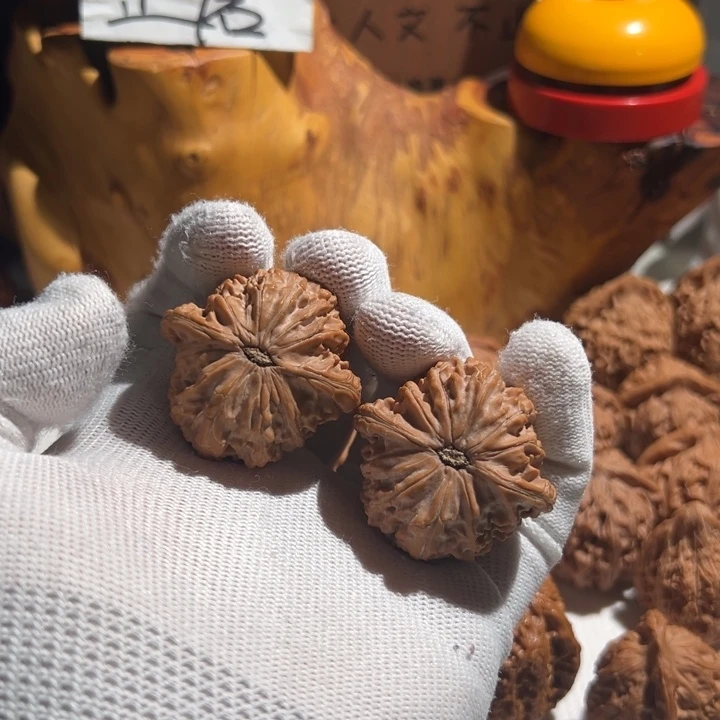 뚱***츠核桃全品无修 41 红皮 山地正磨