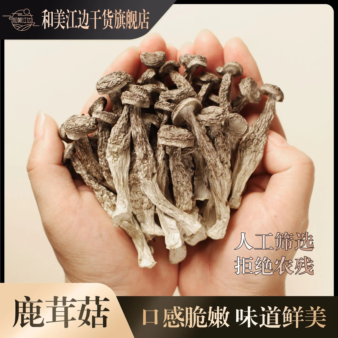 和美江边小鹿茸菇高山种植小嫩仔菇菌菇干货100g*1袋250g*1袋/2袋
