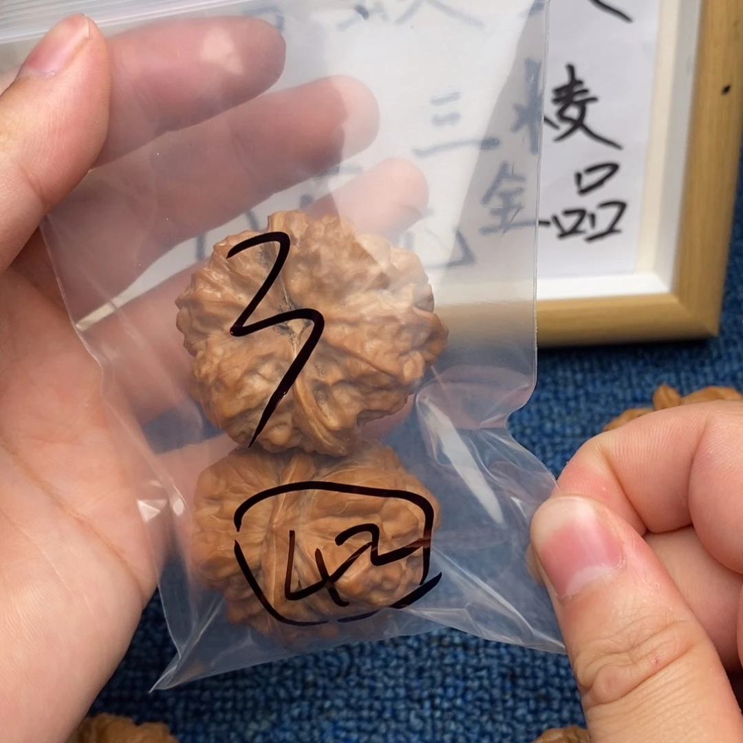 核桃哈哈哈哈哈哈哈哈哈哈哈哈哈哈哈