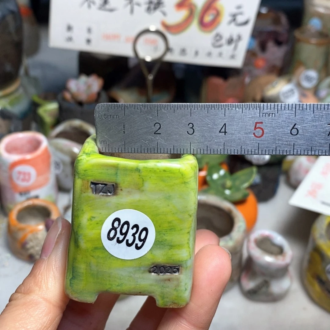 元旦特惠盆不退不换，原价38元一个