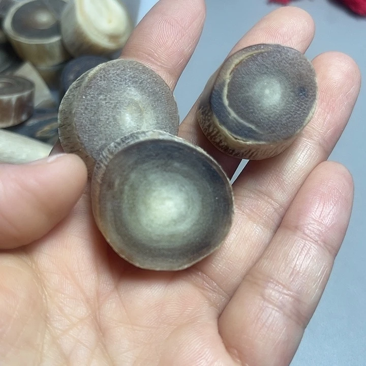 大果紫檀（缅甸花梨）