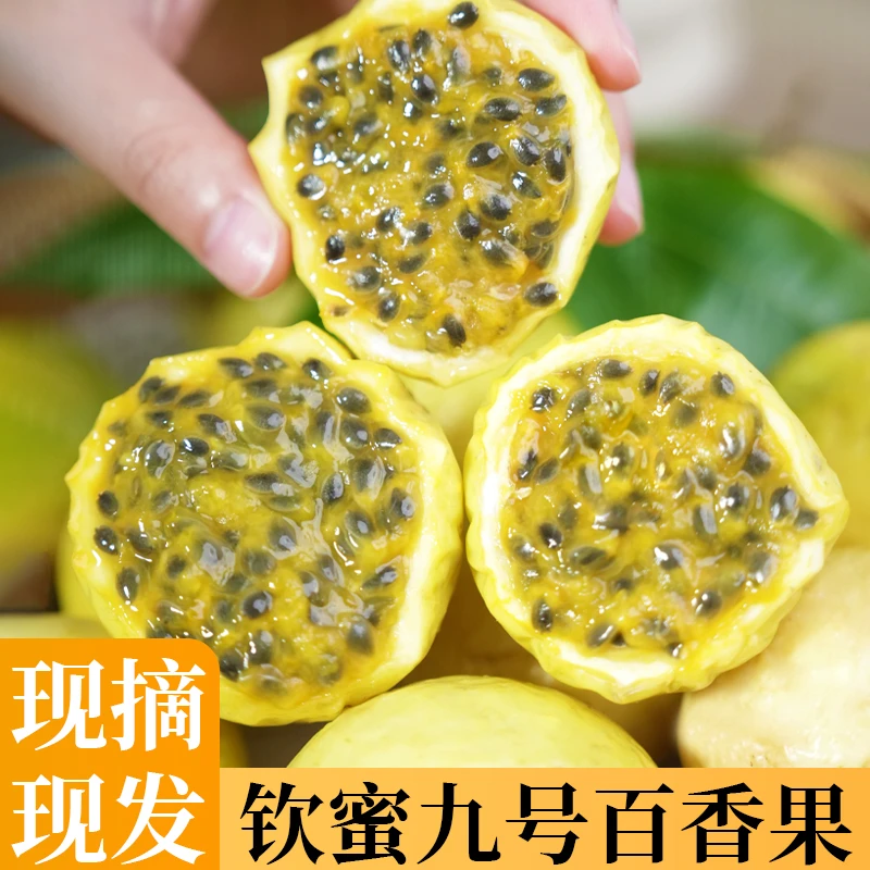 DQ广西钦蜜9号黄金百香果纯甜无酸当季新鲜水果